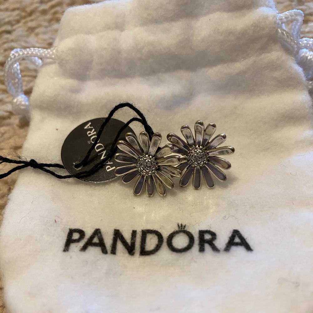 Perfect Valentine’s gift NWT Sterling silver earrings